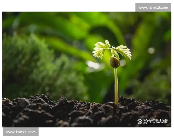 淘汰出局风云再起逆境突围命运转折下的坚持与重生之路探索新篇章 淘汰出局风云再起逆境突围命运转折下的坚持与重生之路探索新篇章