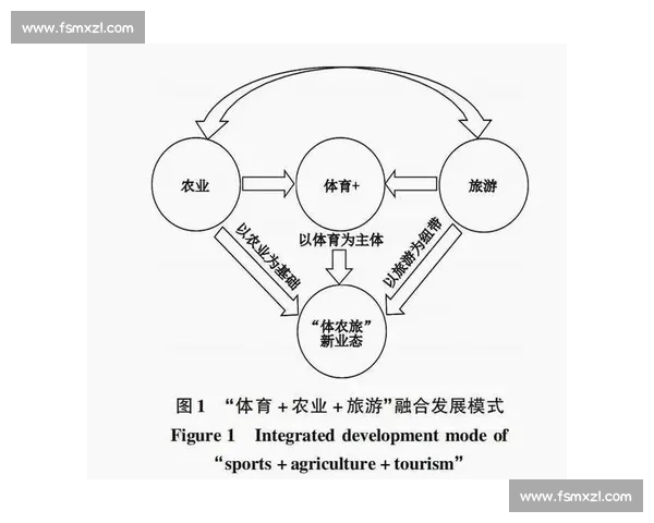 聚焦体育媒体融合发展趋势与赛事传播新格局全面解析与数字转型观察